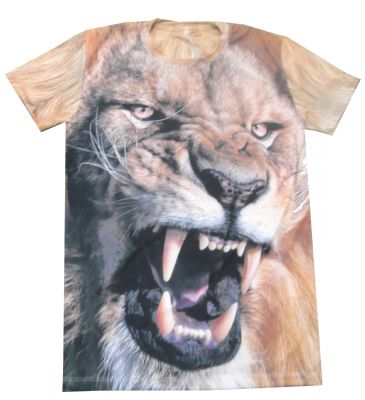 Öz Fivab ( Arşiv kayıttır ) - 